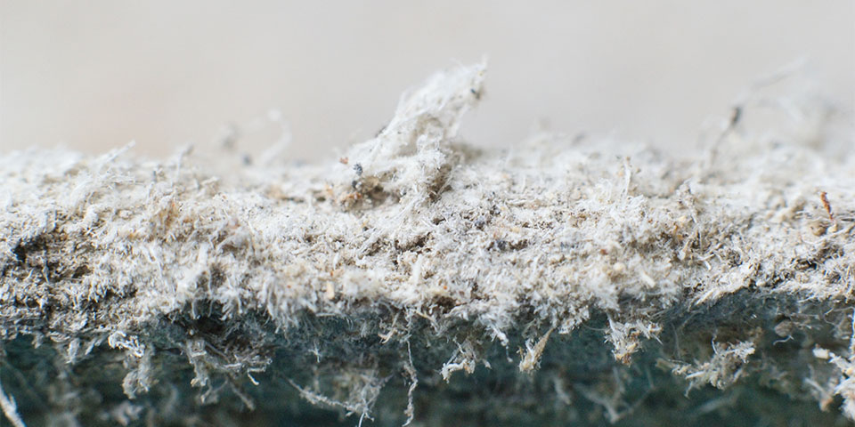 Detailed photography of constructional material with asbestos fibres. Health harmful and hazards effects.